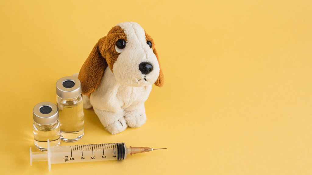 Addressing Vaccine Hesitancy in Pet Owners