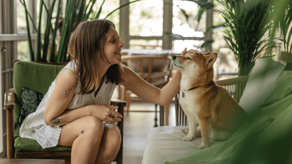 Essential Guide to Socializing Your Pet Importance and Effective Strategies