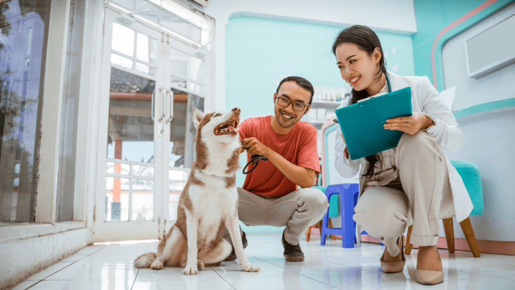 Evaluating Veterinary Services