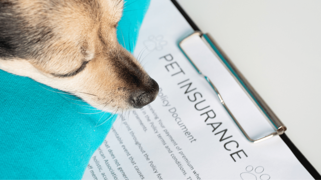 Factors Influencing Pet Insurance Costs
