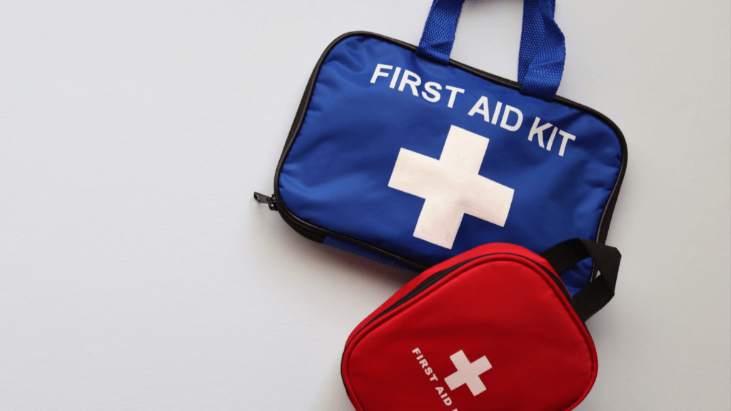 First Aid Kit for Pets