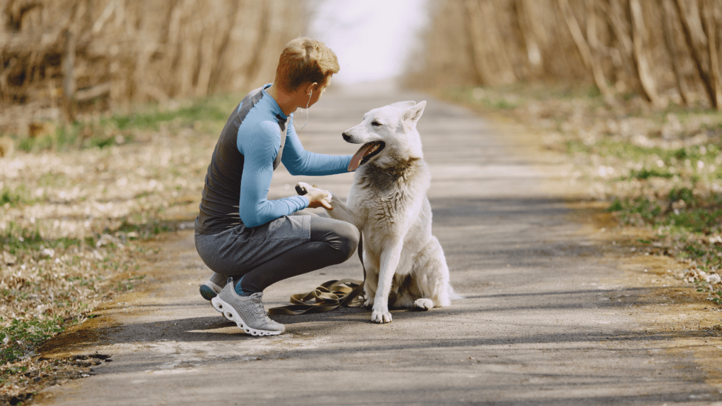 How to Correct Unwanted Behaviors in Dogs Effective Training Tips and Techniques