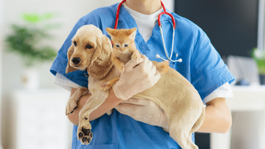 Monitoring Your Pet’s Health