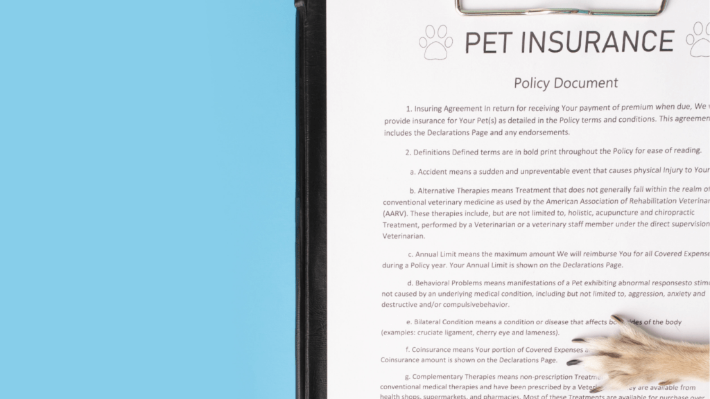 Pet insurance 