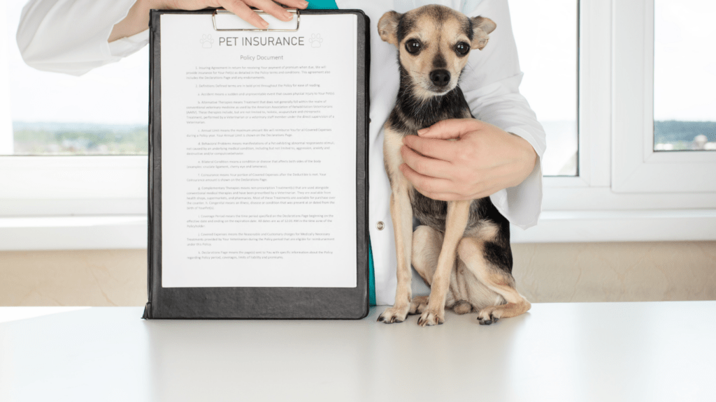 Pet Insurance