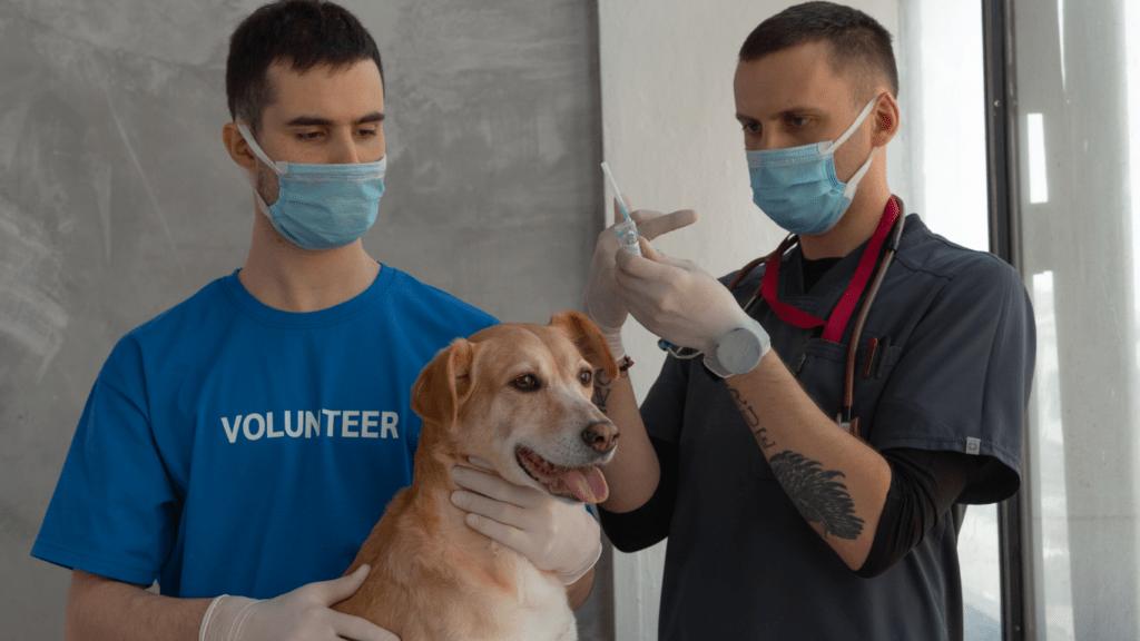 Vet holding Syringe