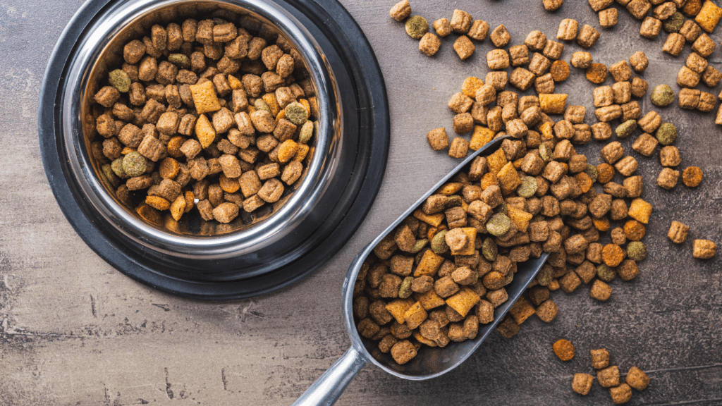 Understanding Pet Food Labels What to Look For for Better Pet Nutrition