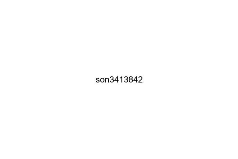 son3413842