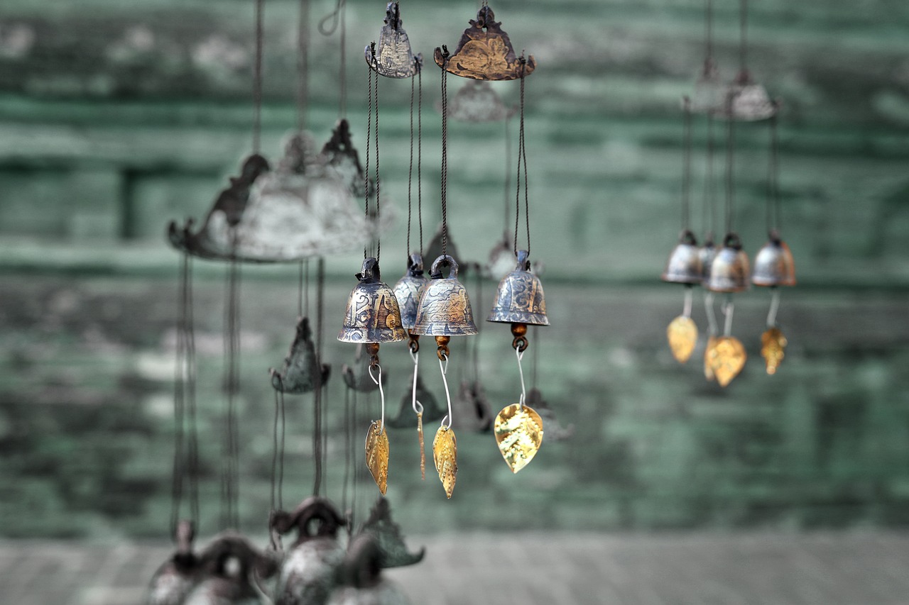 calm pets during travel