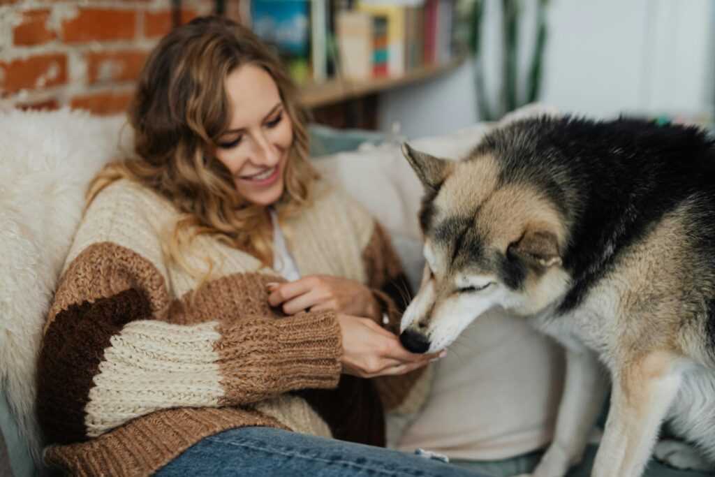 Smiling woman in knitted sweater petting her dog on a cozy couch.