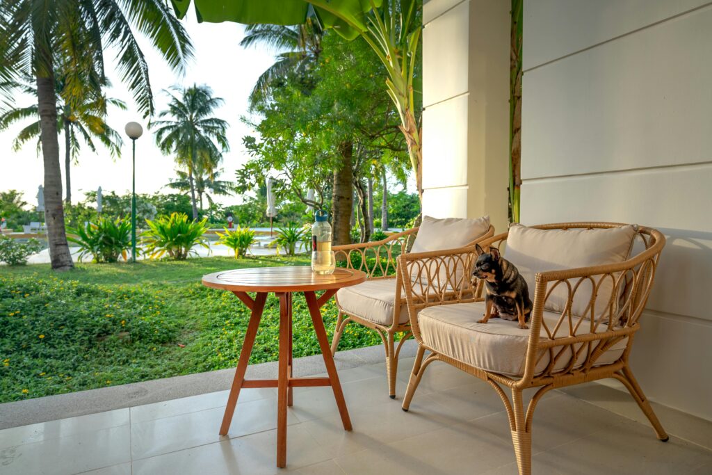 A cozy outdoor seating area with a small dog on a chair, surrounded by lush tropical greenery.
