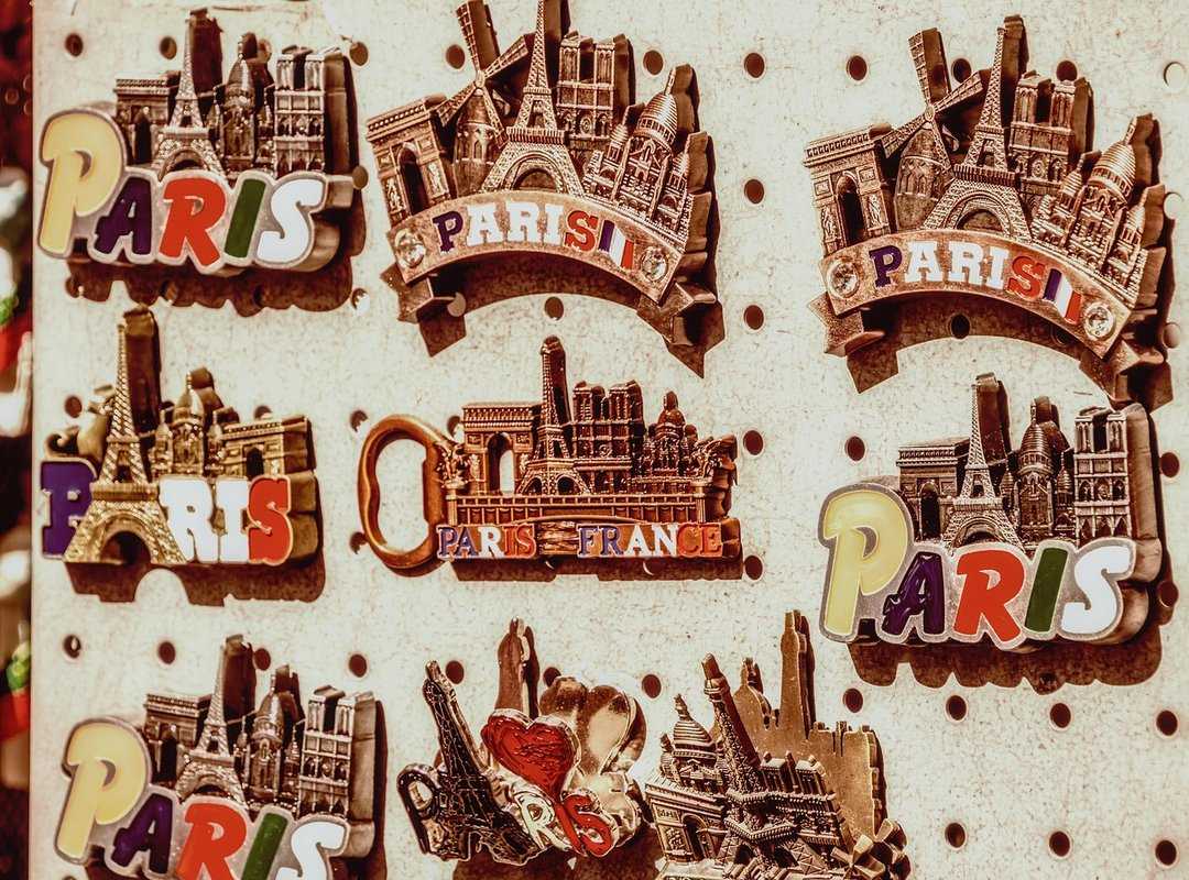 Infoguide for Kittens Llblogpet