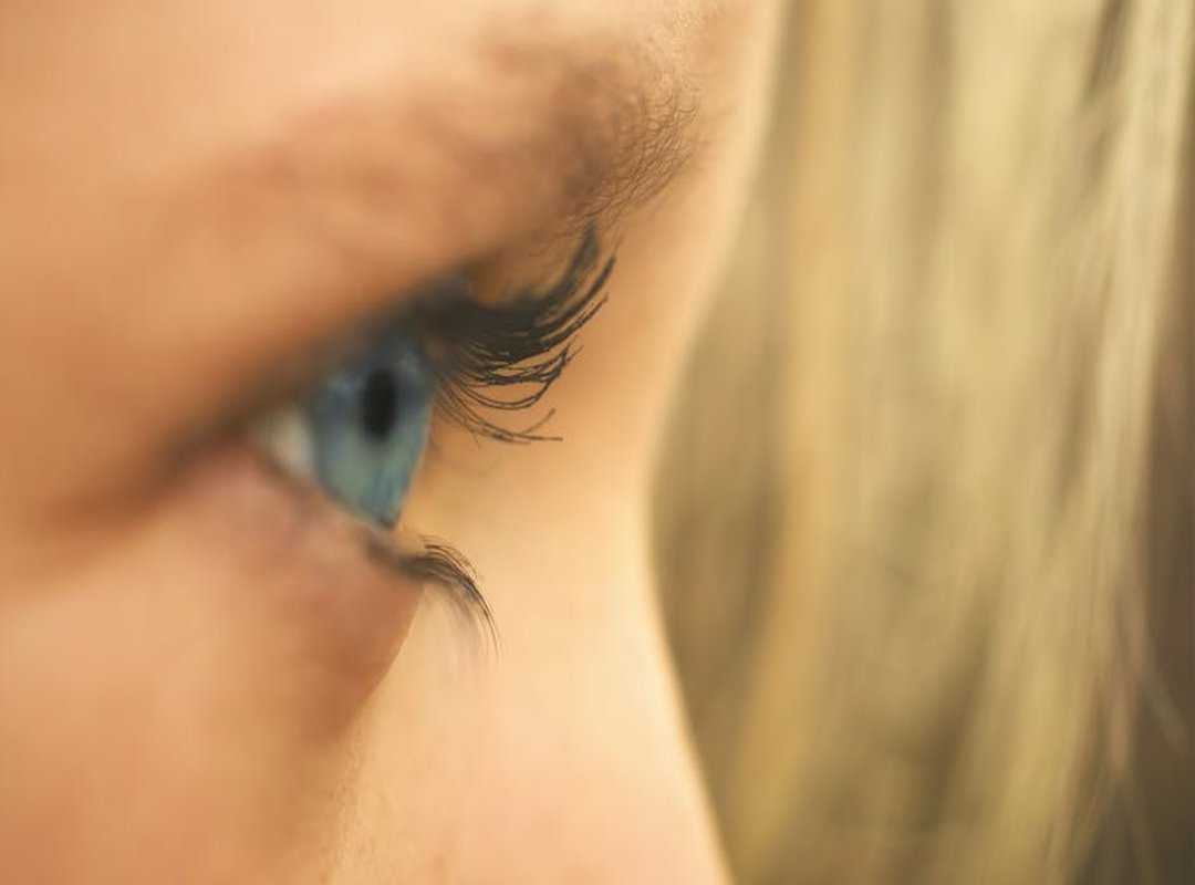 Pet Advice Llblogpet