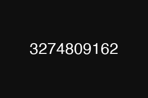 3274809162
