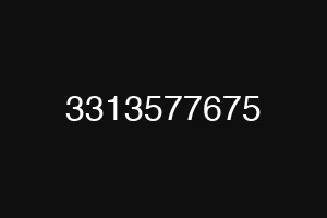 3313577675