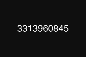 3313960845