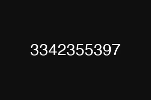 3342355397
