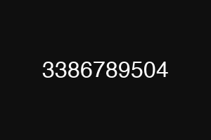 3386789504