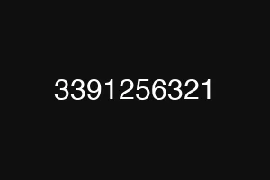 3391256321