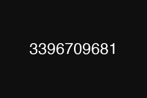 3396709681