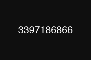 3397186866