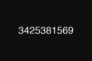 3425381569