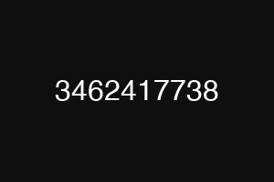 3462417738
