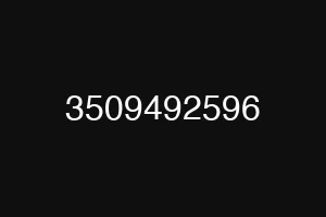 3509492596
