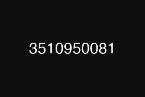 3510950081