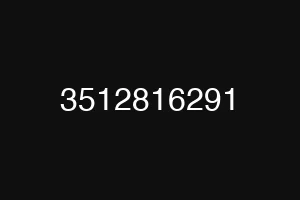 3512816291