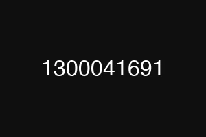 1300041691
