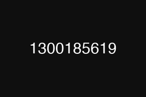 1300185619