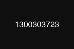 1300303723