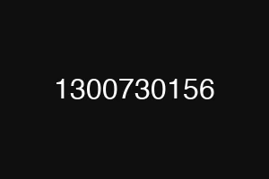 1300730156