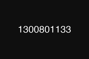 1300801133