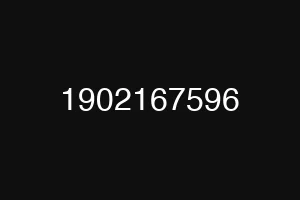 1902167596