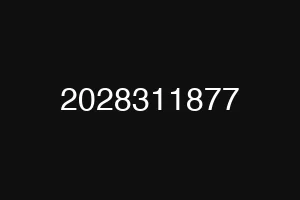 2028311877
