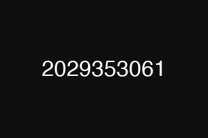 2029353061