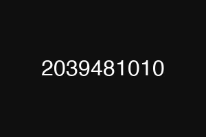 2039481010