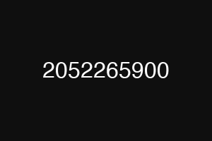 2052265900