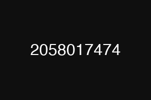 2058017474