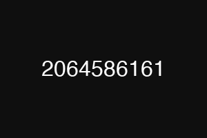 2064586161