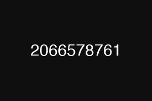 2066578761