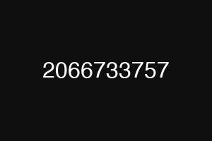 2066733757