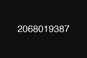 2068019387