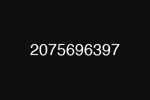 2075696397