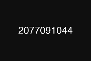 2077091044