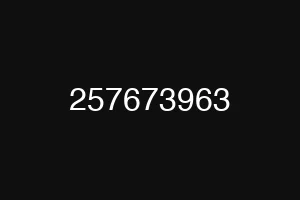 257673963