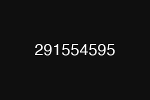291554595