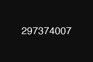 297374007